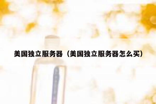 美国独立服务器（美国独立服务器怎么买）
