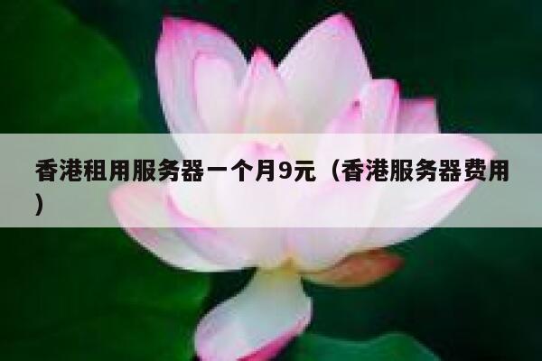 香港租用服务器一个月9元（香港服务器费用）
