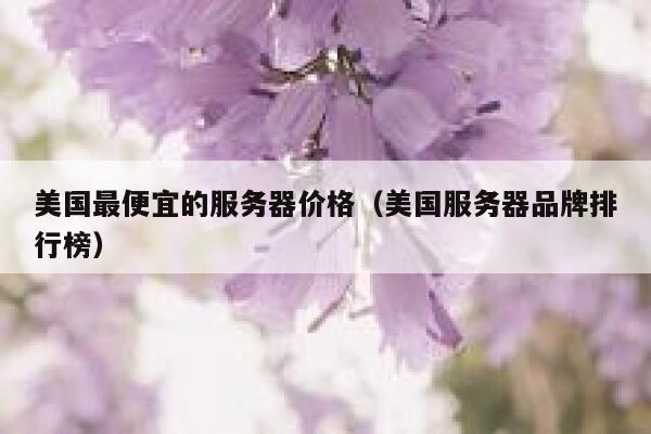 美国最便宜的服务器价格（美国服务器品牌排行榜）