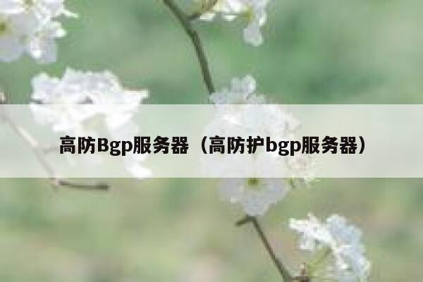 高防Bgp服务器（高防护bgp服务器）