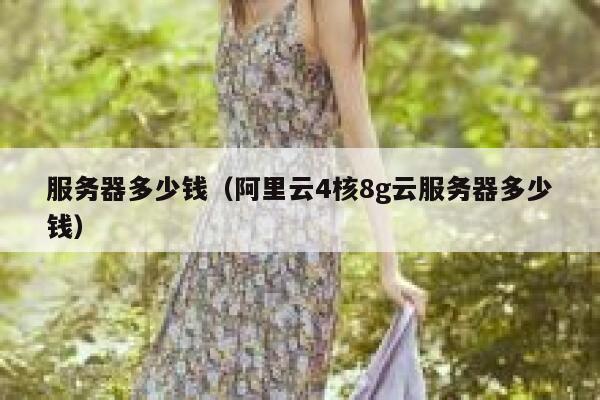 服务器多少钱（阿里云4核8g云服务器多少钱）