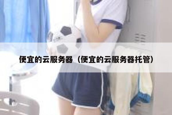 便宜的云服务器（便宜的云服务器托管）