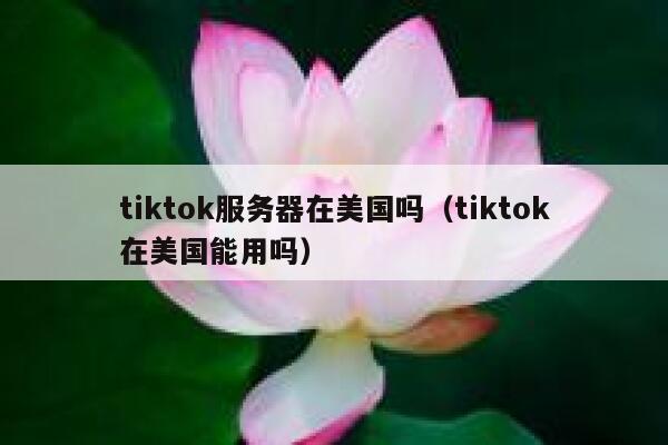 tiktok服务器在美国吗（tiktok在美国能用吗）