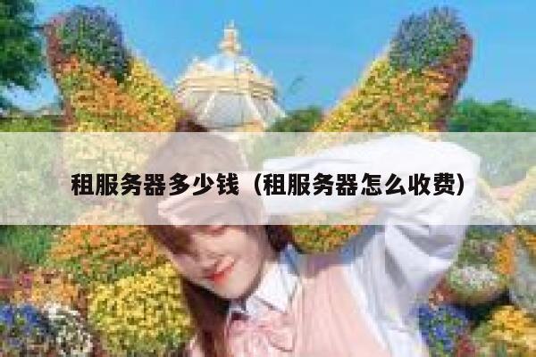 租服务器多少钱（租服务器怎么收费）