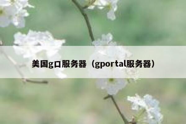 美国g口服务器（gportal服务器）