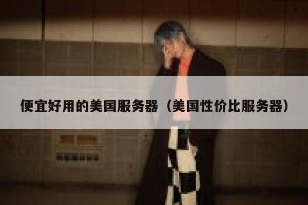 便宜好用的美国服务器（美国性价比服务器）