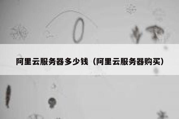 阿里云服务器多少钱（阿里云服务器购买）