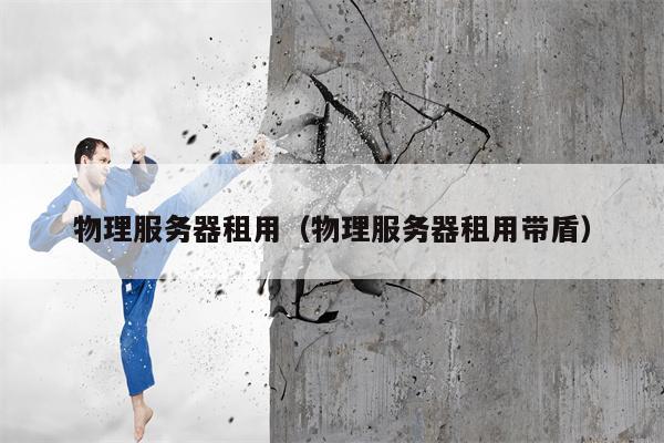 物理服务器租用（物理服务器租用带盾）