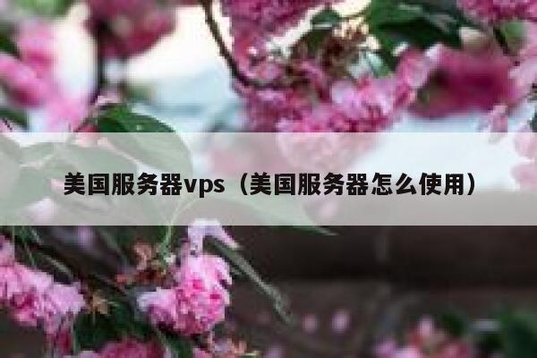 美国服务器vps（美国服务器怎么使用）