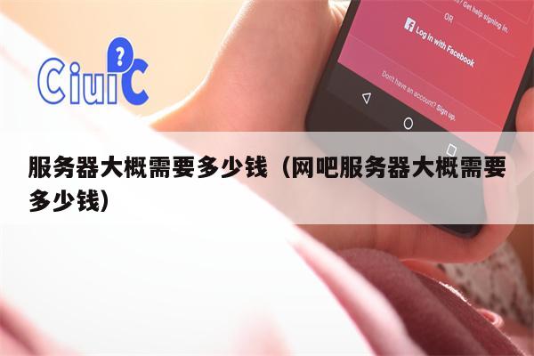 服务器大概需要多少钱（网吧服务器大概需要多少钱）