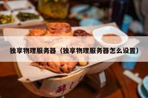 独享物理服务器（独享物理服务器怎么设置）