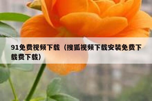 91免费视频下载（搜狐视频下载安装免费下载费下载）