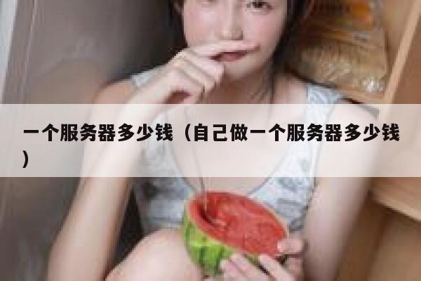 一个服务器多少钱（自己做一个服务器多少钱）