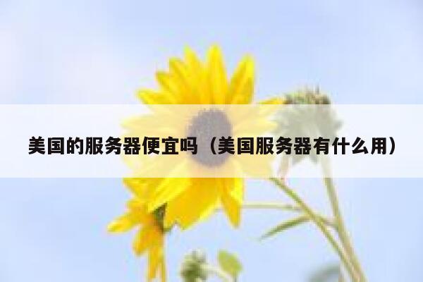 美国的服务器便宜吗（美国服务器有什么用）