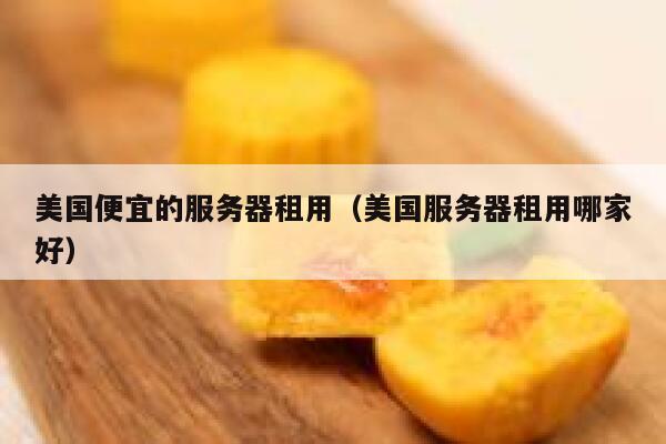 美国便宜的服务器租用（美国服务器租用哪家好）