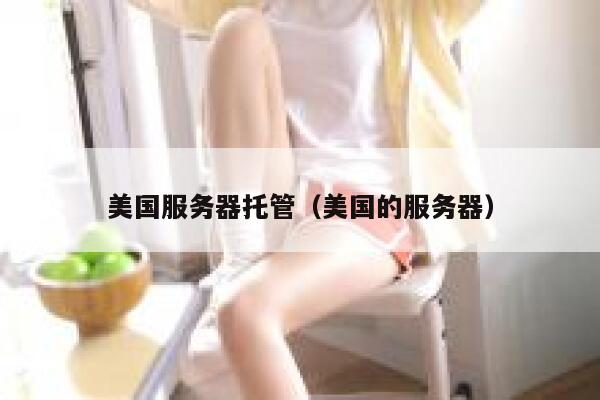美国服务器托管（美国的服务器）
